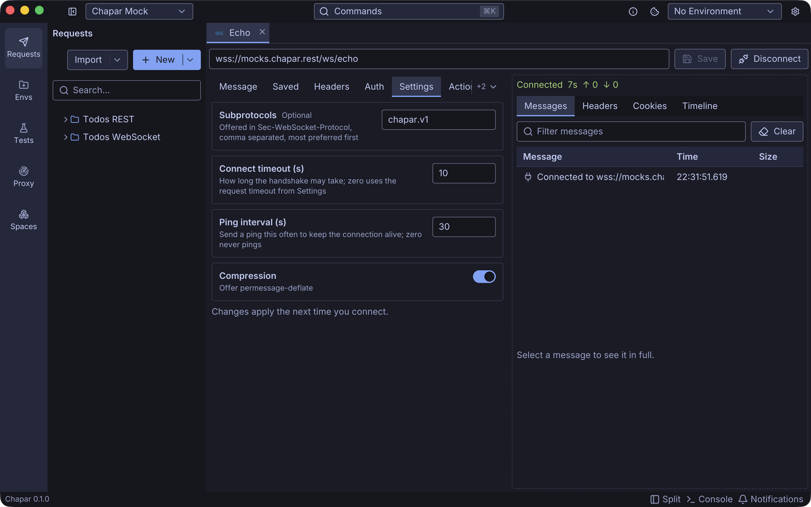 WebSocket settings